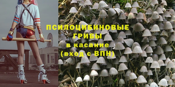 первитин Арсеньев